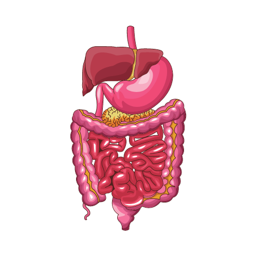 Gastrointestinal cancer