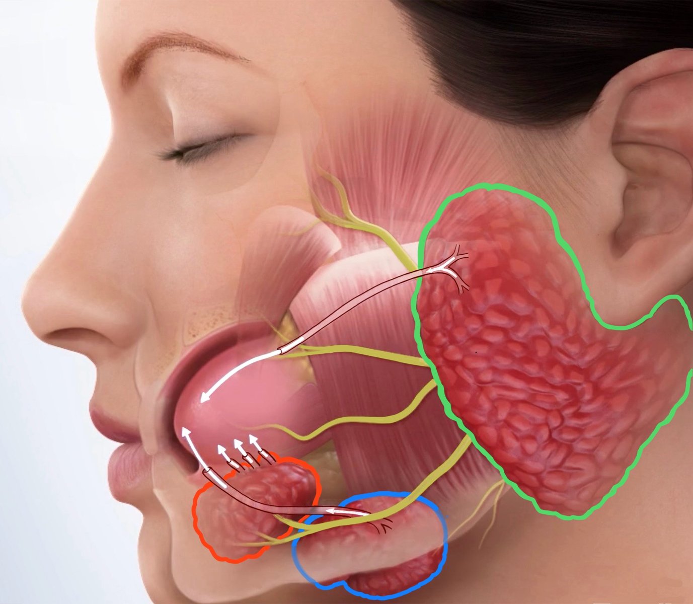 jbrjeweler24@gmail.com No Google analytics no GA4 no edit access apo @222174614917164