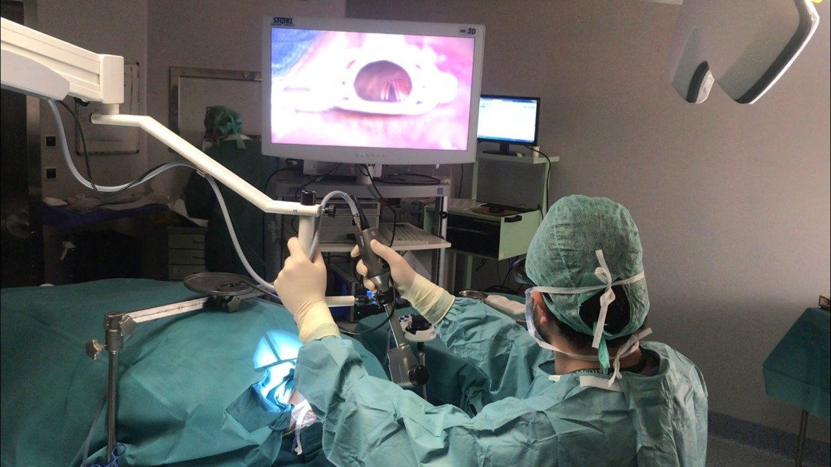 Endoscopic Laryngeal Surgery