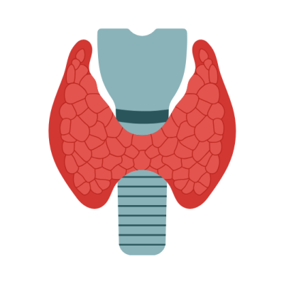 DR. BHAVIN WEBSITE (17) Throat discomfort