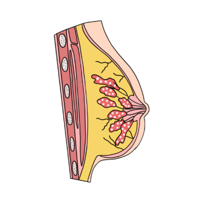 DR. BHAVIN WEBSITE (49)