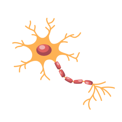 DR. BHAVIN WEBSITE (56) Function Preservation
