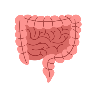 DR. BHAVIN WEBSITE (78) Intestinal