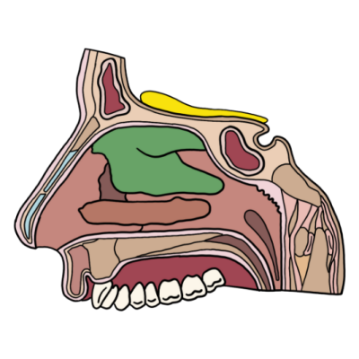 DR. BHAVIN WEBSITE (85) Mouth Jaw