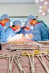 WhatsApp Image 2025-11-17 at 23.27.38_67c65edc